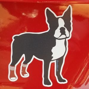 Meet your Posher, Maureen